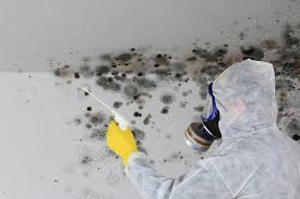 Best Comprehensive Air Testing for Mold Contaminants  in Vernon, AL